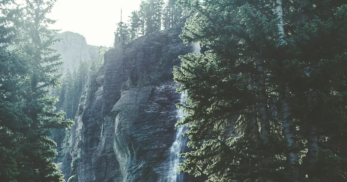 Đánh Giá Túi Sưởi Nước Nóng Cầm Tay 2026: Ấm Bụng, Giảm Đau Kinh