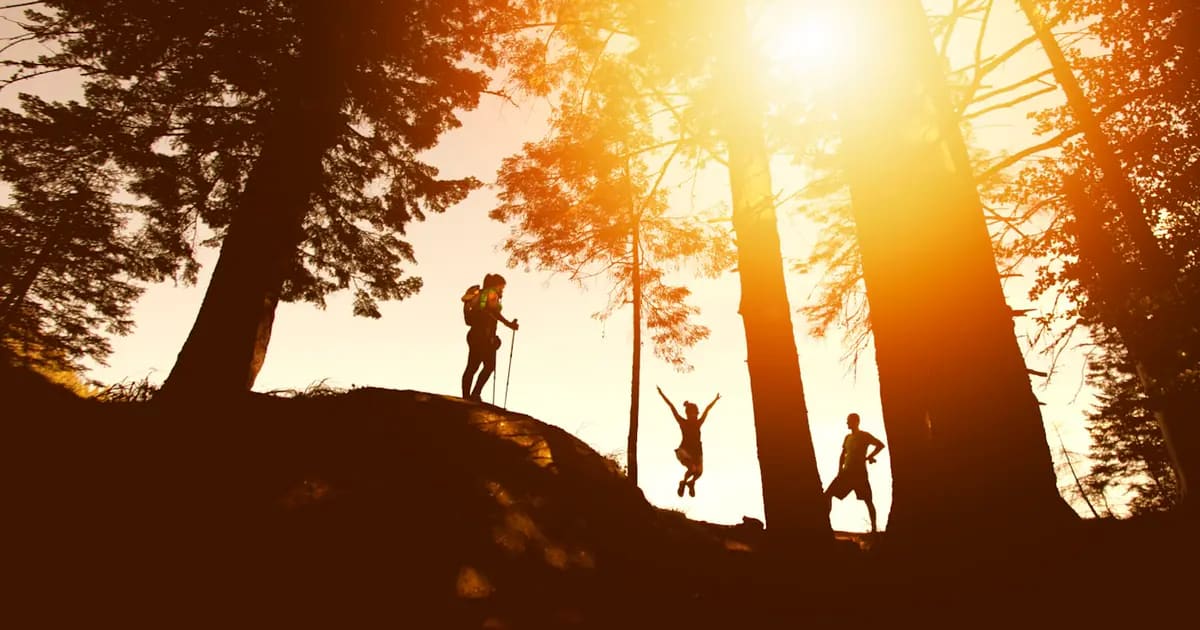 Top 5 Giường Võng Cắm Trại Ngoài Trời 2026: Ngủ Ngon Giữa Rừng Xanh