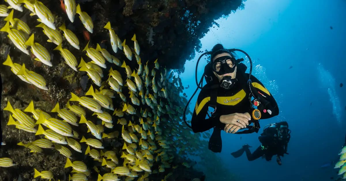 Top 5 Mặt Nạ Lặn Biển Snorkeling Tốt Nhất 2026