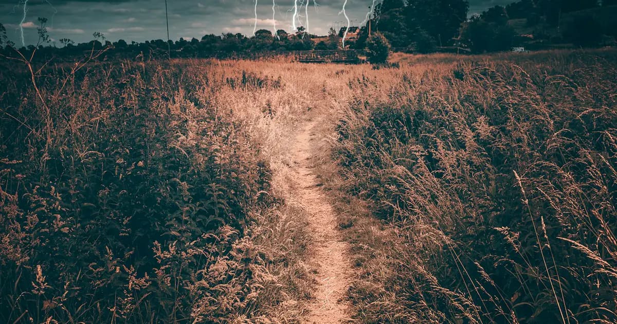 Đánh Giá Máy Sưởi Gốm Ceramic Xiaomi 2026: Ấm Nhanh, Tiết Kiệm Điện